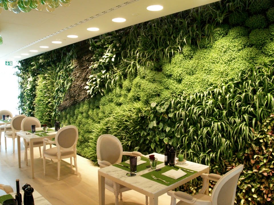 Cultive a Natureza em Casa: Guia Completo para Criar um Jardim Vertical Deslumbrante